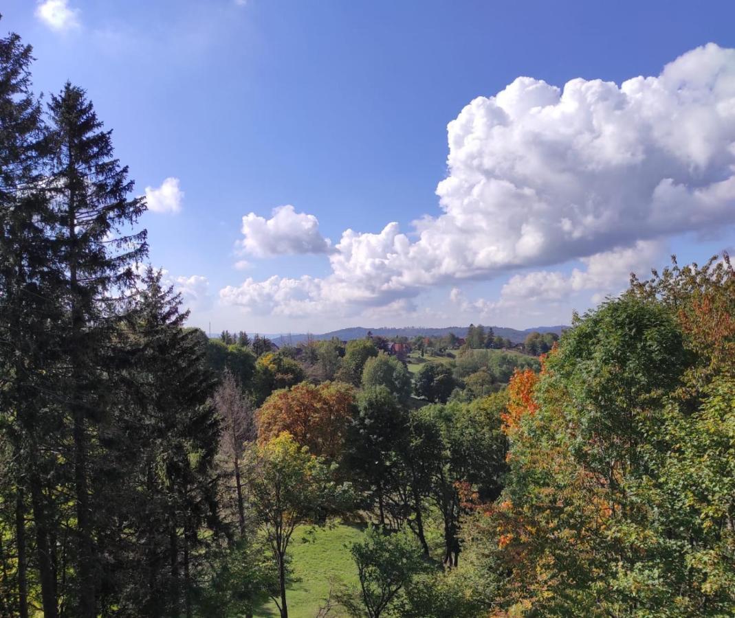 Fewo Harzer Weitblick, Hunde Willkommen, W-Lan, 2X Smart Tv, Dtv 4 Sterne, 4 Pfoten Braunlage Exterior foto