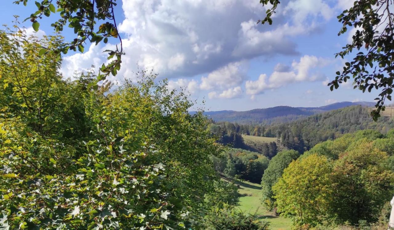 Fewo Harzer Weitblick, Hunde Willkommen, W-Lan, 2X Smart Tv, Dtv 4 Sterne, 4 Pfoten Braunlage Exterior foto