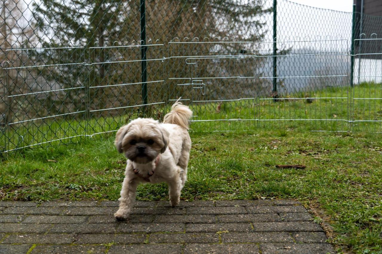 Fewo Harzer Weitblick, Hunde Willkommen, W-Lan, 2X Smart Tv, Dtv 4 Sterne, 4 Pfoten Braunlage Exterior foto