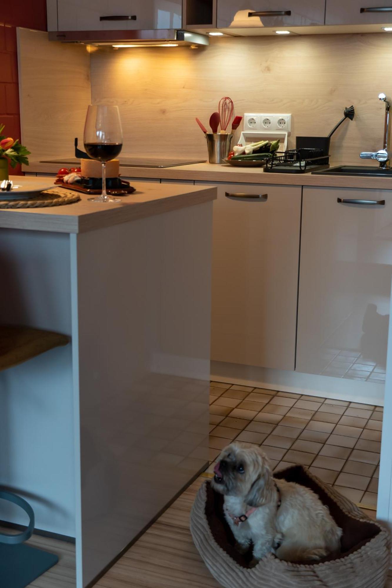 Fewo Harzer Weitblick, Hunde Willkommen, W-Lan, 2X Smart Tv, Dtv 4 Sterne, 4 Pfoten Braunlage Exterior foto