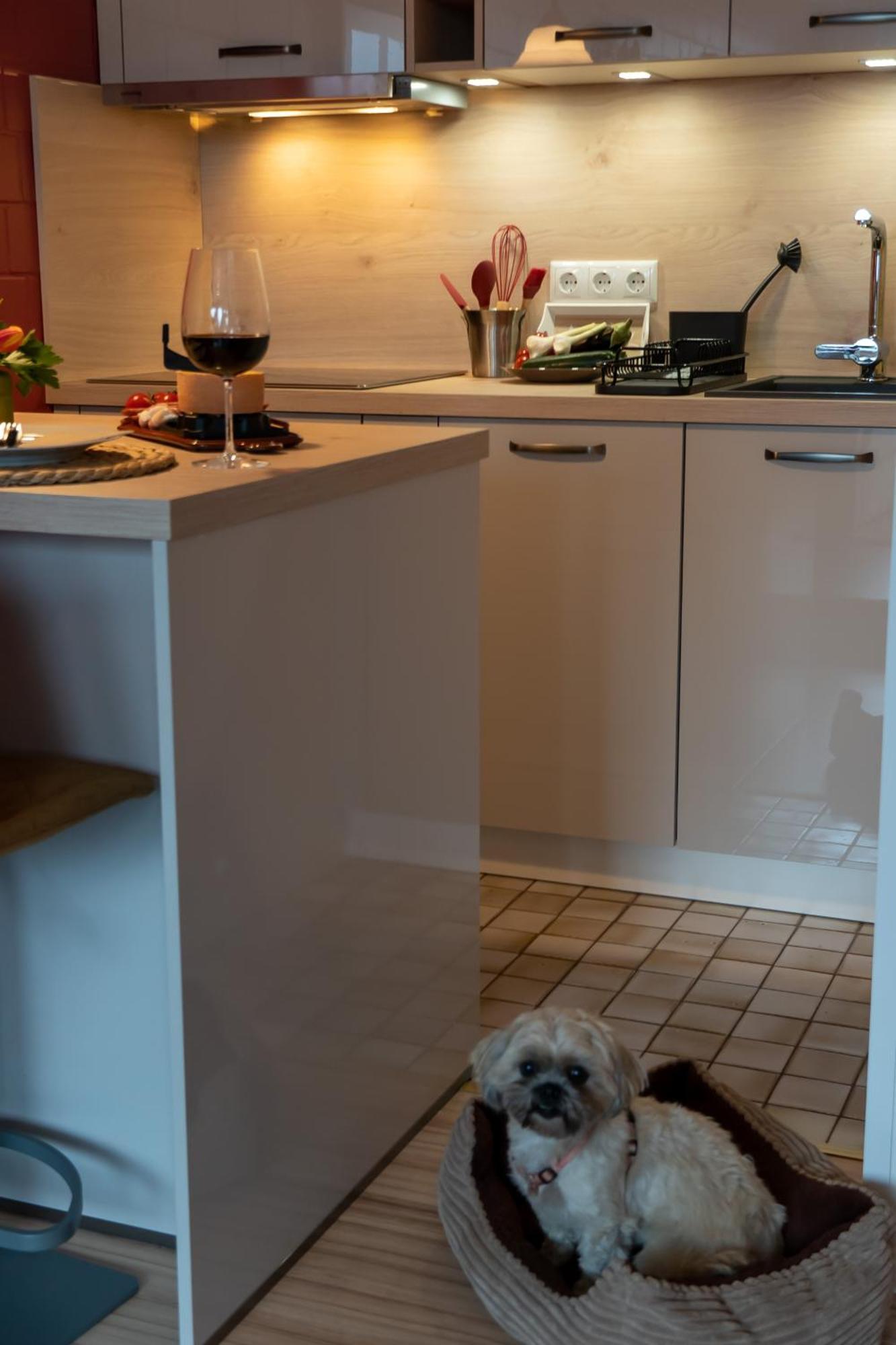 Fewo Harzer Weitblick, Hunde Willkommen, W-Lan, 2X Smart Tv, Dtv 4 Sterne, 4 Pfoten Braunlage Exterior foto